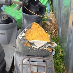 ライブディオの画像