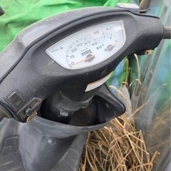 ライブディオの画像