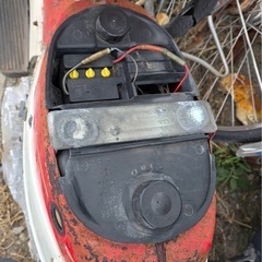 スワニーの画像