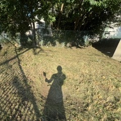 •	【本日対応可】葛飾区｜庭木剪定・伐採 承ります 	•	個人造園｜剪定・草刈り 即日相談OK の画像