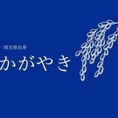 【残り3袋‼️】お米【令和7年度産】🌾彩のかがやき🌾食品の画像