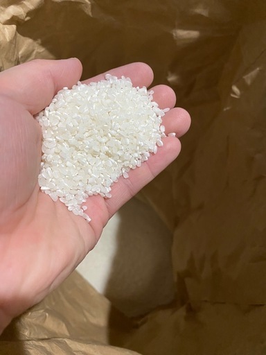お米【令和7年度産】?彩のかがやき?食品