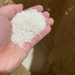 【残り3袋‼️】お米【令和7年度産】🌾彩のかがやき🌾食品の画像
