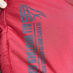 ワークマン　イージスの画像