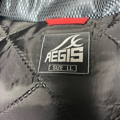 ワークマン　イージスの画像