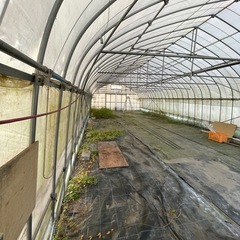 短期　作業場（ガレージ）貸出　間口6m×16m