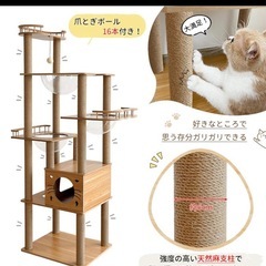キャットタワー　木製　の画像