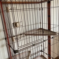 ボンビ　ウッドワンサークル　キャットハウスの画像