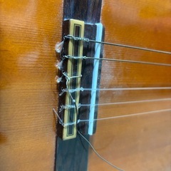 クラシックギター
の画像