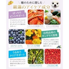 【獣医師監修】犬用 瞳ケア サプリ アニハ 60粒 NMN配合 乳酸菌22種 目やに・涙目対策 無添加の画像