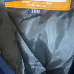 キッズ　スノーウェア　恐竜　100の画像