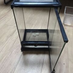 GEX グラステラリウムナノ　exoterra エキゾテラ　爬虫類両生類　ケージ　ケースの画像