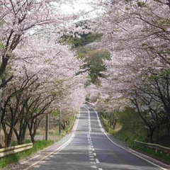 キャンプ場用地、ドッグラン、建築条件無しの平地！川のせせらぎ！電気開通済！井戸掘り済！ - 不動産