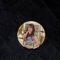 STARDOM 缶バッジの画像