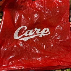 カープのカッパの画像