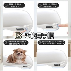 小動物体重計の画像