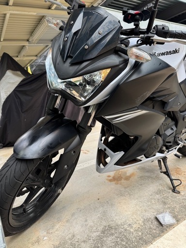 Z250 カワサキ　250cc バイク　ツーリング