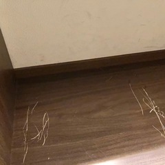 ディスプレイラック　5段　オープンシェルフ　ダークブラウン　本棚　の画像