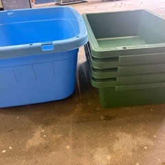 たらい　トロ箱の画像