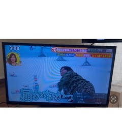 ビエラ　ジャンクの画像