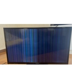 ビエラ　ジャンクの画像