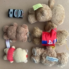 くまさんの画像