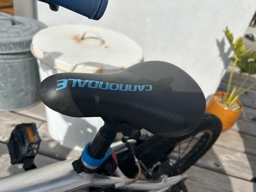 キャノンデールアルミキッズバイクCannondale