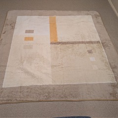 【お話し中】【難あり】2畳用ホットカーペットの画像