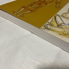 【新品未使用】アーティストのための美術解剖学の画像