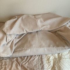 【0円でソファ】差し上げます！
ソファ・ビーズクッションの画像