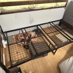 ニトリ　シングルベッド　フレームの画像