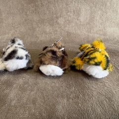 神戸須磨シーワールド　シャチのキーホルダー　6点セットの画像