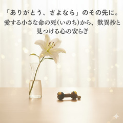 【三軒茶屋】「ありがとう、さよなら」のその先に。 愛する小さな命...