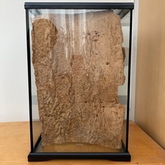 爬虫類 エキゾテラ　GEX　グラテラ3045 中古　②の画像