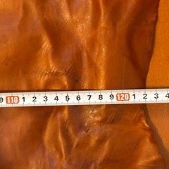 伊藤登登商店 栃木レザー　270dm2の画像