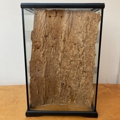 爬虫類 エキゾテラ　GEX　グラテラ3045 中古　①の画像