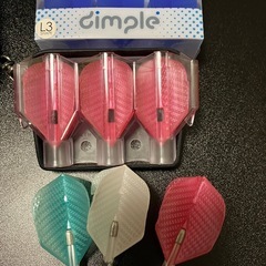 ダーツ(ケース、予備フライト、ソフトチップ、ハードチップ付き)の画像