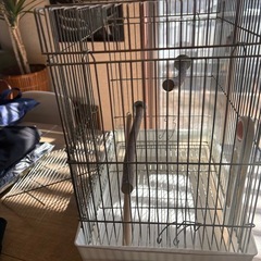 鳥かご【インコ】の画像