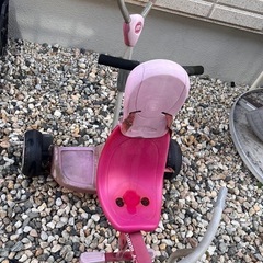 子供用の手押し三輪車の画像