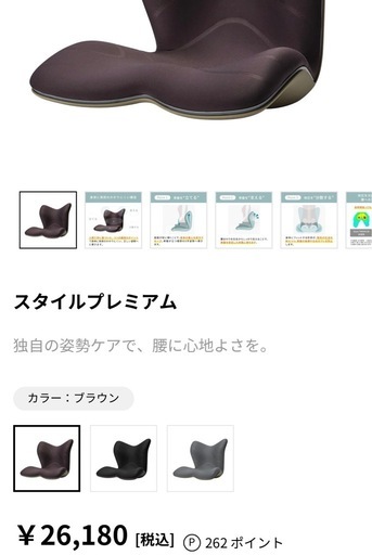 【新品】スタイル プレミアム シリーズ/Style PREMIUM Series MTG エムティージー 骨盤サポートチェア 