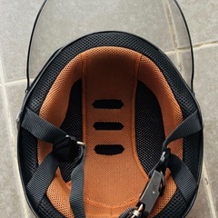 ヤールーの画像