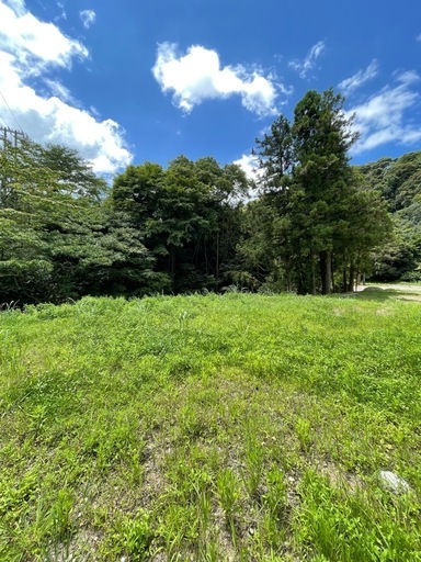 キャンプ場用地、ドッグラン用地、希少平地