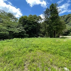 キャンプ場用地、ドッグラン用地、希少平地の画像