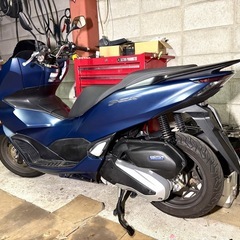 ☆安心の点検整備.動画☆ホンダ PCX125 JK05☆現行の2023年モデル高年式車両！走行距離も少なく程度は抜群です！消耗品も暫く気にしなくて良いよう整備！自賠責保険長く残っていてお買い得！の画像
