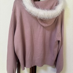 リジェイスプル　パーカー
の画像