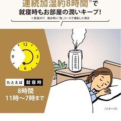 象印マホービン 加湿器 スチーム式 3.0L グレー EE-DC35-HAの画像