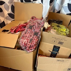 犬用リード　大量の画像