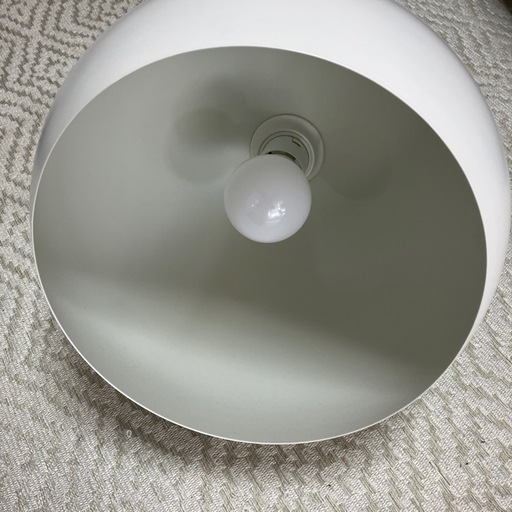 IKEA ROXMO ロックスモー ホワイトま (もも) 白子のその他の中古