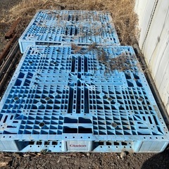 パレットの画像