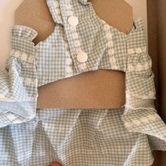 子猫　　洋服の画像